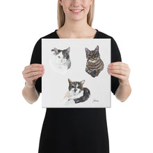 Load image into Gallery viewer, "Cats Group" Canvas FS