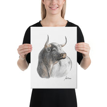 Load image into Gallery viewer, "Cardeno" Canvas FS