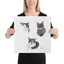 Load image into Gallery viewer, "Cats Group" Canvas FS