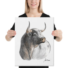 Load image into Gallery viewer, "Cardeno" Canvas FS