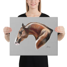 Load image into Gallery viewer, "Alazan4" Canvas FS