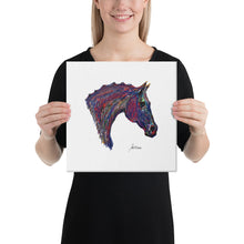 Load image into Gallery viewer, "Colours2" Canvas FS