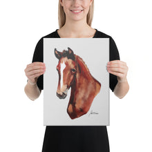 Load image into Gallery viewer, "Foal" Canvas FS