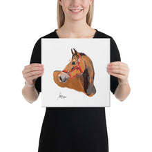 Load image into Gallery viewer, "Layla" Canvas FS