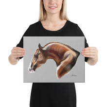 Load image into Gallery viewer, "Alazan4" Canvas FS