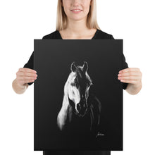 Load image into Gallery viewer, "Arabian" Canvas FS
