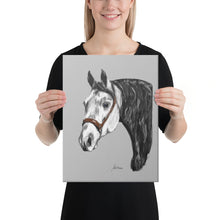 Load image into Gallery viewer, "Andaluz" Canvas FS