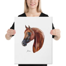Load image into Gallery viewer, "Alazan2" Canvas FS