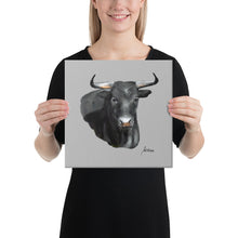 Load image into Gallery viewer, " Toro Bravo" Canvas FS