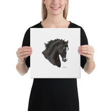 Load image into Gallery viewer, "Azabache" Canvas FS