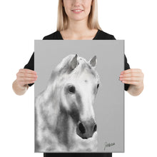 Load image into Gallery viewer, "Storm" Canvas FS