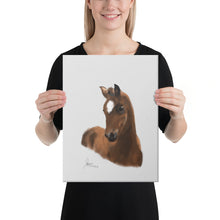 Load image into Gallery viewer, "Foal2" Canvas FS