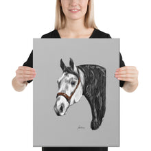 Load image into Gallery viewer, "Andaluz" Canvas FS