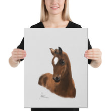 Load image into Gallery viewer, "Foal2" Canvas FS