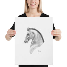 Load image into Gallery viewer, "Greek" Canvas FS