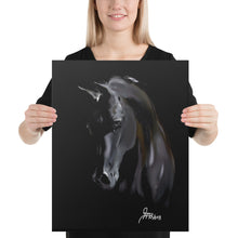 Load image into Gallery viewer, "Dark" Canvas FS