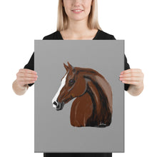 Load image into Gallery viewer, "Alazan5" Canvas FS