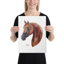 Load image into Gallery viewer, "Alazan2" Canvas FS