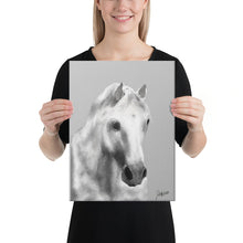 Load image into Gallery viewer, "Storm" Canvas FS