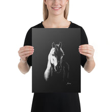 Load image into Gallery viewer, "Arabian" Canvas FS