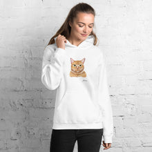 Cargar imagen en el visor de la galería, "Stormy" Unisex Hoodie FS