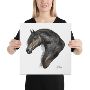 "Friesian" Canvas FS