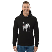 Load image into Gallery viewer, &quot;Frodo&quot; Unisex pullover hoodie (Stanley)
